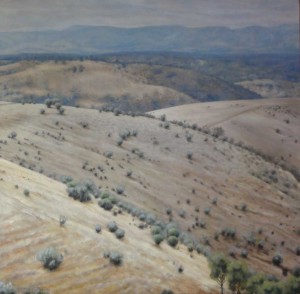 'East from Bibaringa', SA        