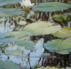 Kakadu Reflection 1, NT        