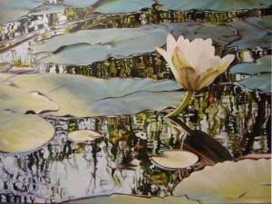 Kakadu Reflection 2, NT        