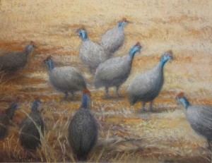 'Morning Conflab', Botswana  