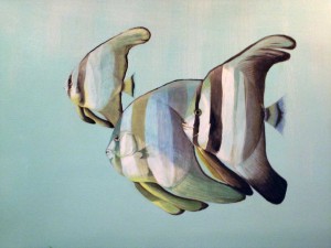    Underwater World