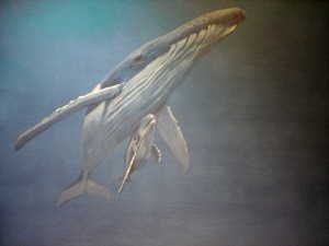   Underwater World